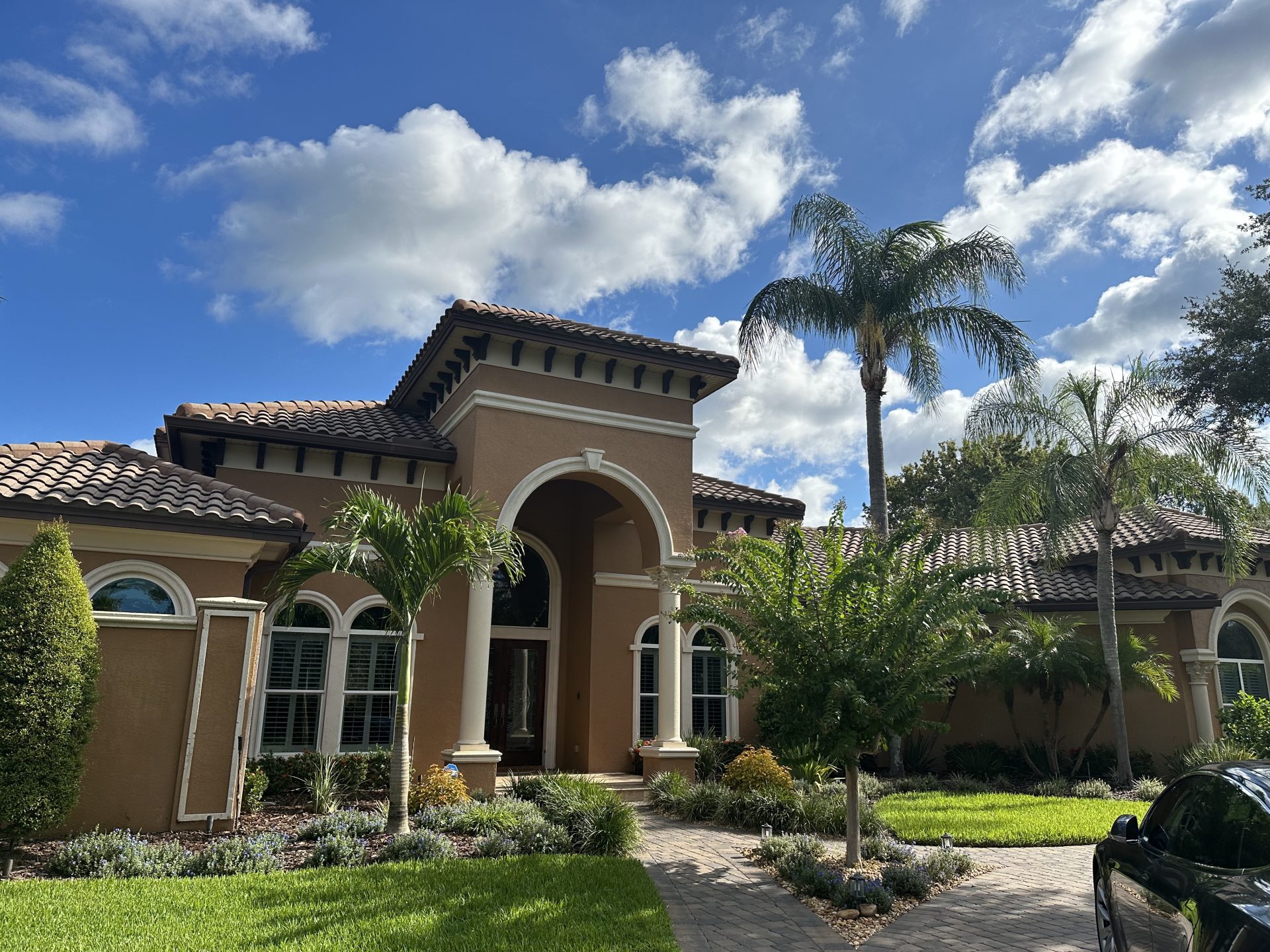 A charming residence with palm trees flanking a wide driveway, creating an inviting atmosphere.
